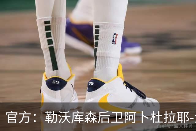 官方：勒沃库森后卫阿卜杜拉耶-法耶租借加盟塞尔塔